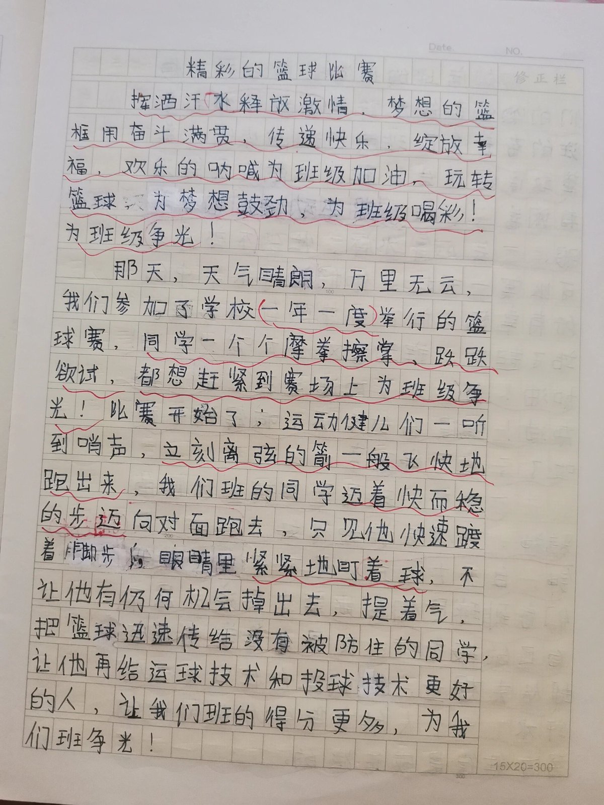训练篮球作文600字初中生